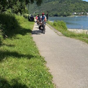 Guided bike tour on a easy bike road next to the Rhine, Germany