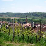Guided bike tours europe, cycling holidays - eibelstadt