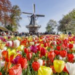 Guided bike tours europe, cycling holidays - media-filer_public_thumbnails-filer_public-93-2b-932b1924-5400-479b-abe2-c83b7f230f46-160502lt0116.jpg__1200x1200_q85