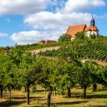 Guided bike tours europe, cycling holidays - Historical,Church,In,Vineyards,,Volkach,,Germany