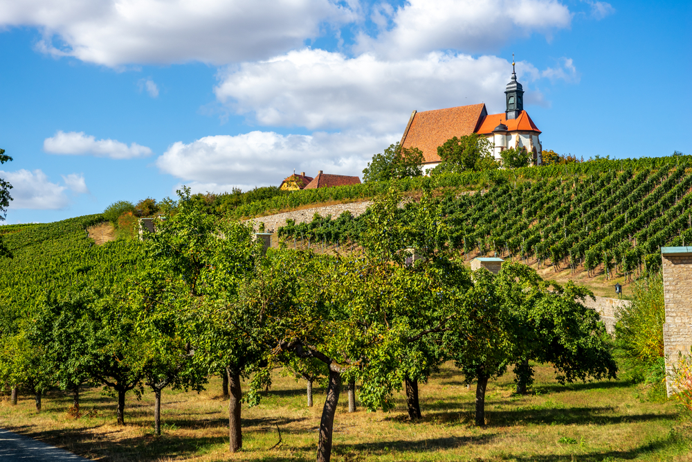 Historical,Church,In,Vineyards,,Volkach,,Germany