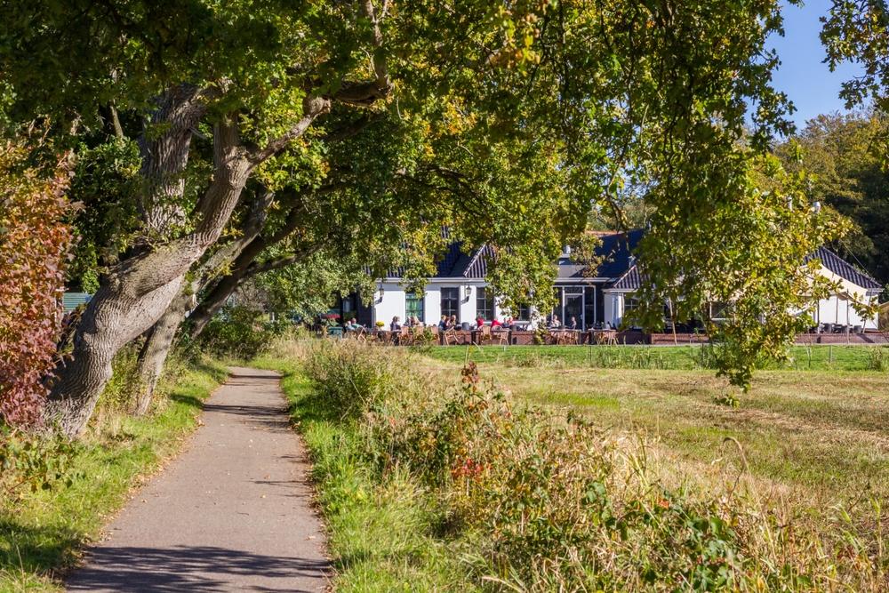 Path,Leading,To,The,Restaurant,In,Nature,Reserve,Drentse,Aa