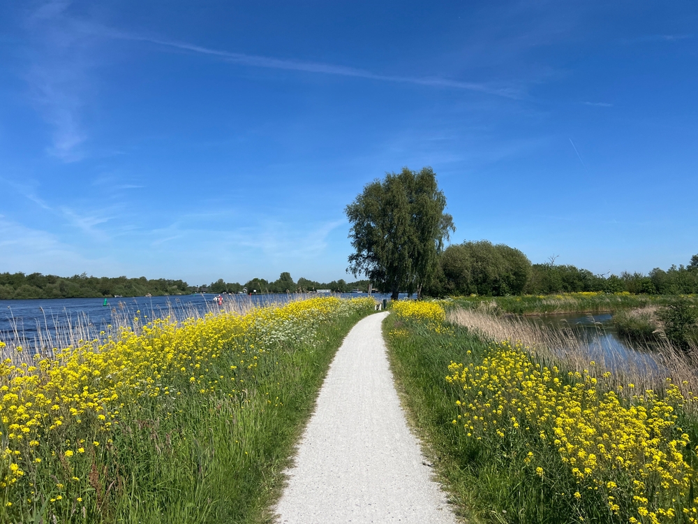 Bicycle,Path,Around,Nationaal,Park,De,Alde,Feanen,In,Friesland