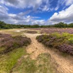 Guided bike tours europe, cycling holidays - Ultra,Wide,Angle,Shot,Of,Nature,Reserve,Near,Schipborg,In