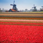 Guided bike tours europe, cycling holidays - shutterstock_477224593-1
