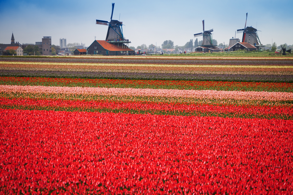 shutterstock_477224593-1