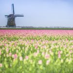 Guided bike tours europe, cycling holidays - shutterstock_554696773-scaled-1