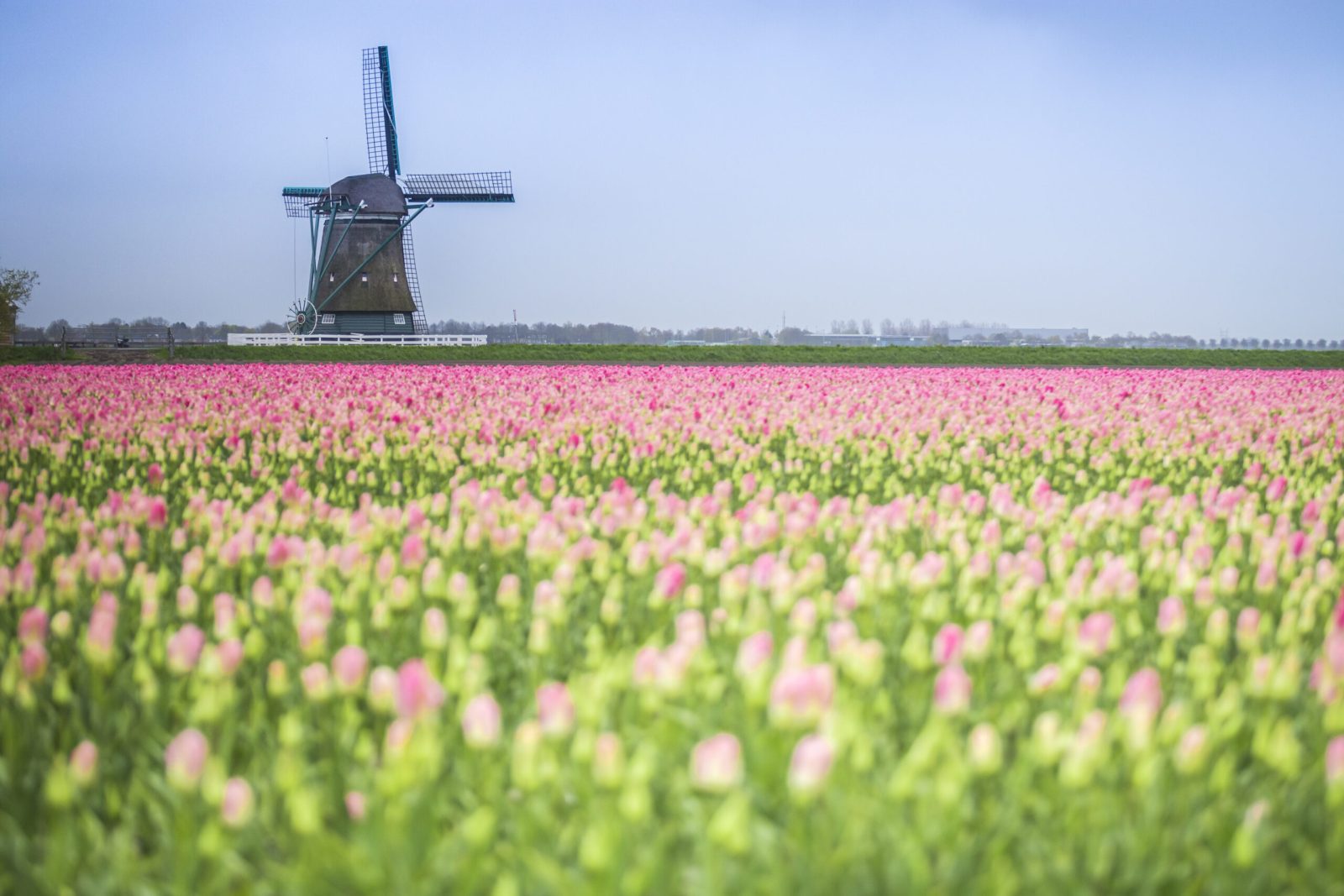 shutterstock_554696773-scaled-1