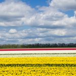 Guided bike tours europe, cycling holidays - shutterstock_572504599