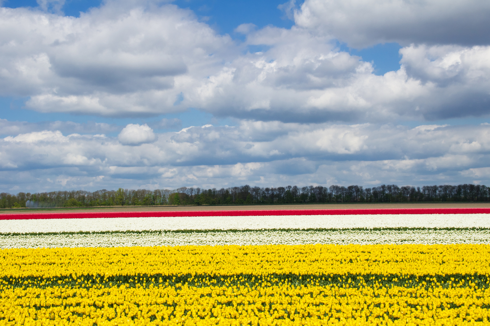 shutterstock_572504599