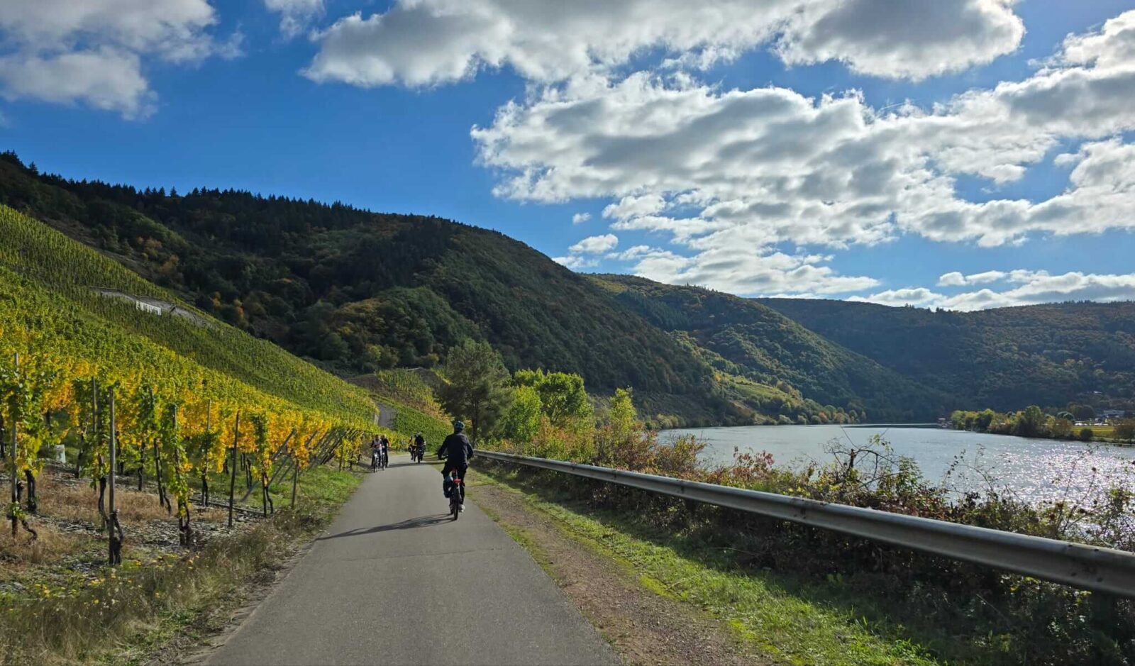 Guided biking next to the Moselle with the Iris barge tour